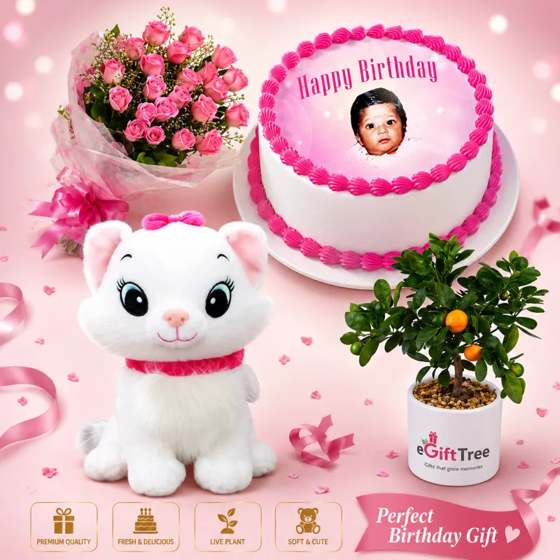 Pink Birthday Gift Combo with Photo Cake, Roses, Plush Cat & Live Plant